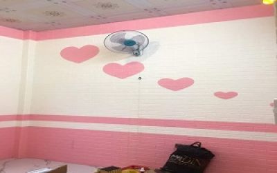 H&igrave;nh ảnh xốp d&aacute;n tường 3d